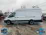 2019 Oxford White /Pewter Ford Transit Van Base w/Dual Sliding Side Cargo Doors (1FTBW3UM9KK) with an V6, 3.7L engine, 6-speed automatic transmission, located at 3147 E Independence Blvd, Charlotte, NC, 28205, 35.200268, -80.773651 - Photo#12